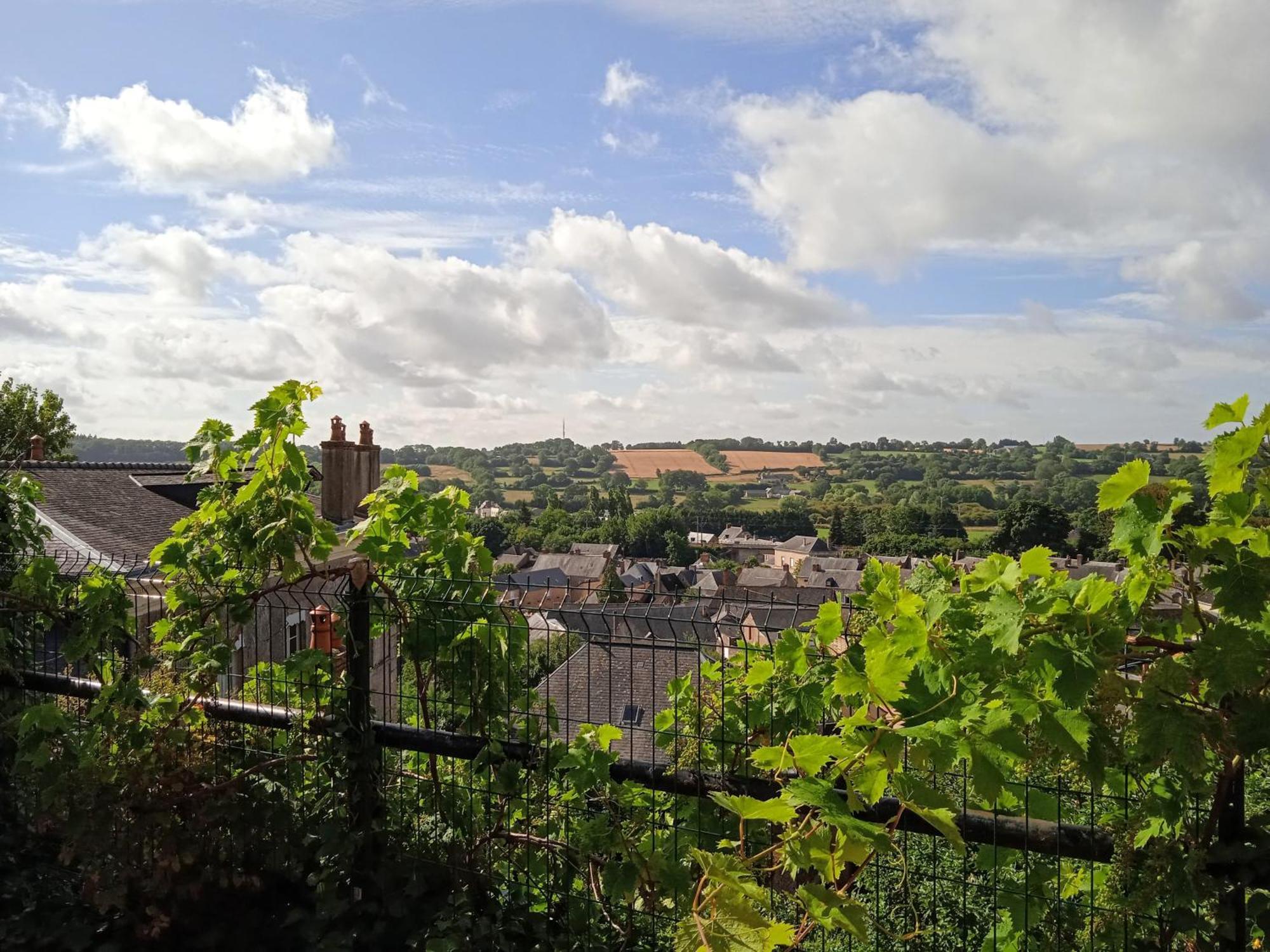 Charming Detached 2 Bedroom Ancient House In Medieval Quarter Of A Small Town In The Pays De La Loire, France 锡耶勒纪尧姆 外观 照片